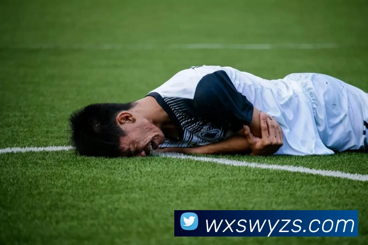 mk体育在线官网首页平台生态图